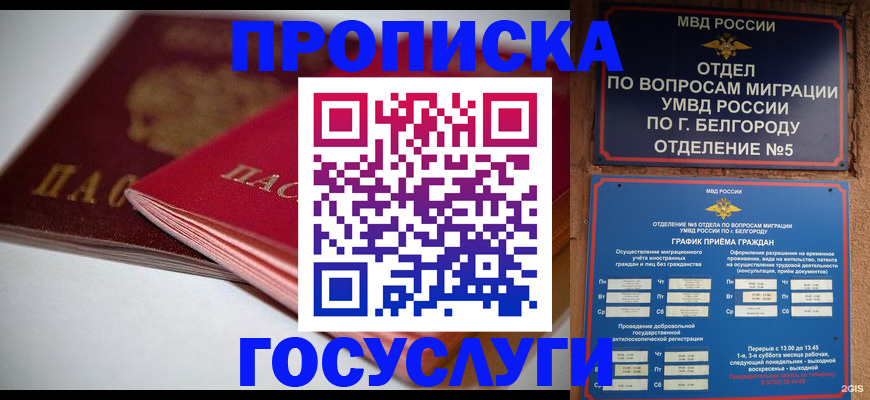 временная регистрация собственник в Дальнегорске